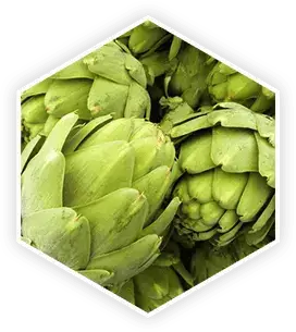 Prostavive-ingredients-7