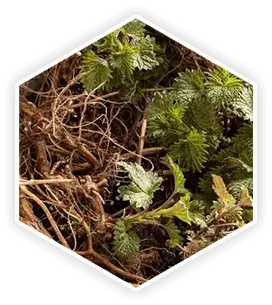 Prostavive-ingredients-8