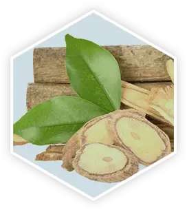 Prostavive-ingredients-2