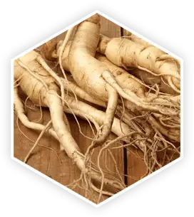 Prostavive-ingredients-5
